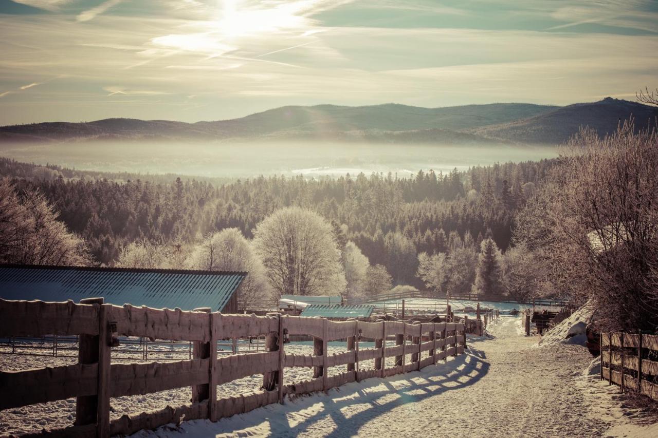 Landhotel Zum Matthiasl Bischofsreut Esterno foto